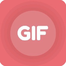 GIF 制作