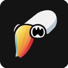 ToonSquid