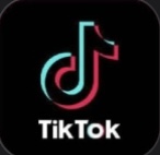 Tiktok汉化插件版