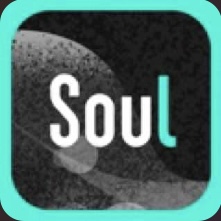 SOUL_防撤回解锁私聊限制.ipa